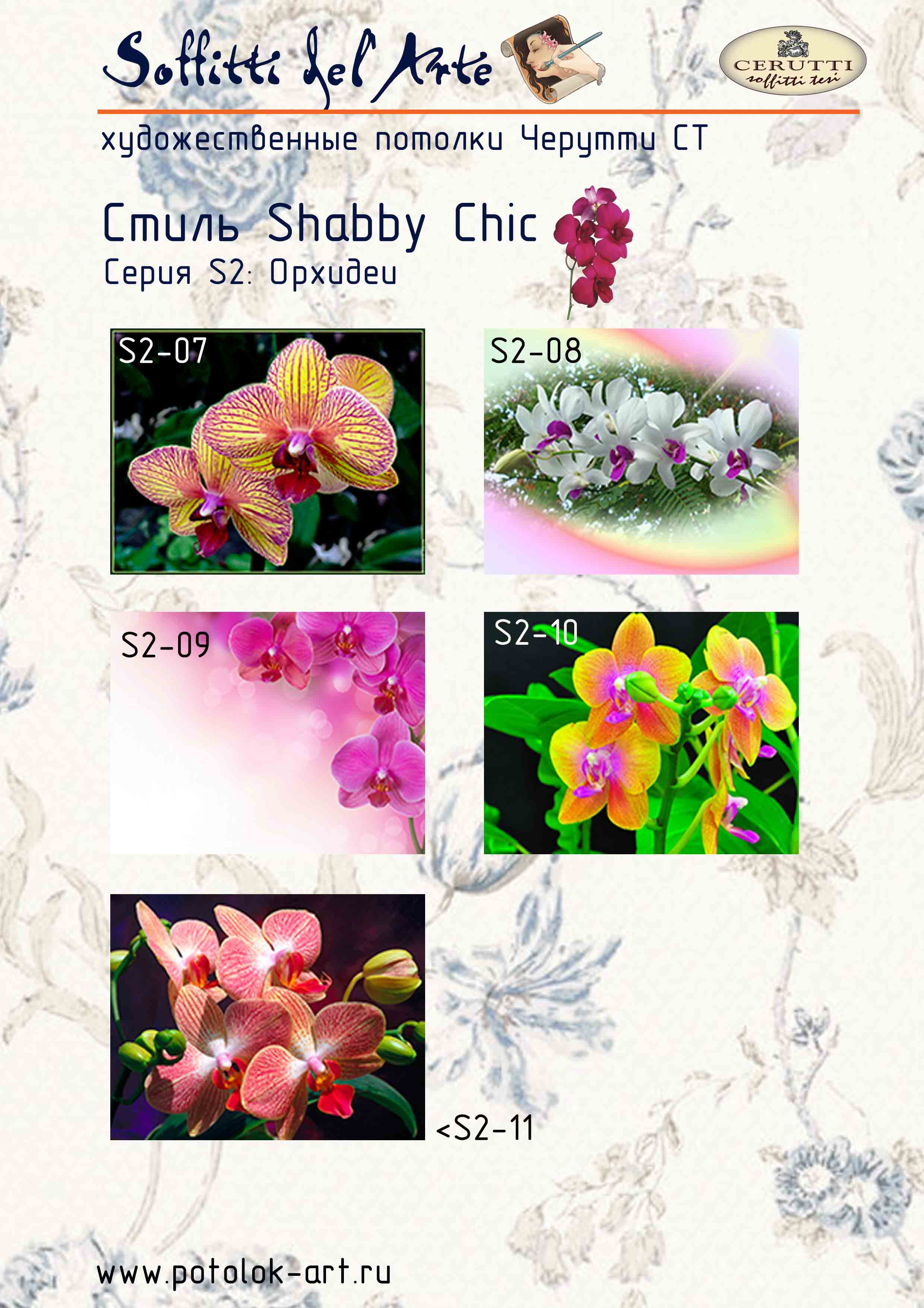 Орхидеи имеют различные оттенки и причудливые формы.