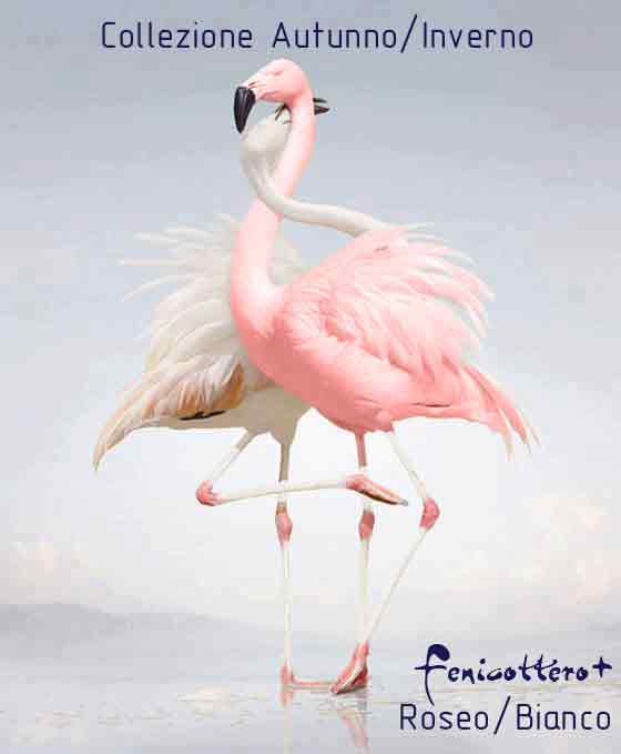 Полотно цвета фламинго - это особая гордость Cerutti, это - колер, полученный в результате многочисленных экспериментов.